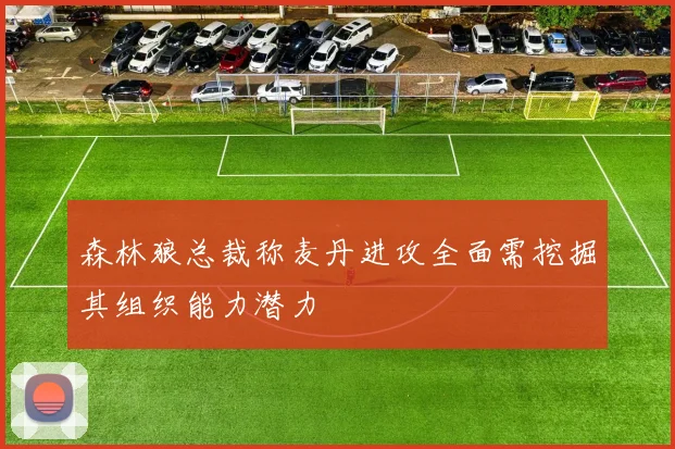 森林狼总裁称麦丹进攻全面需挖掘其组织能力潜力